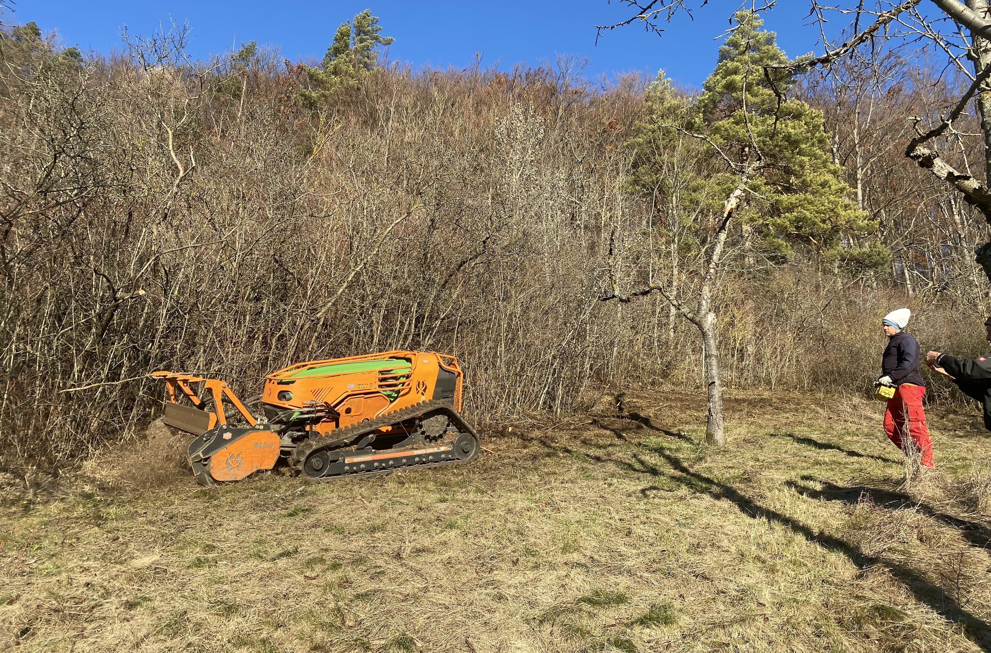 Entbuschung mit Forstmulcher