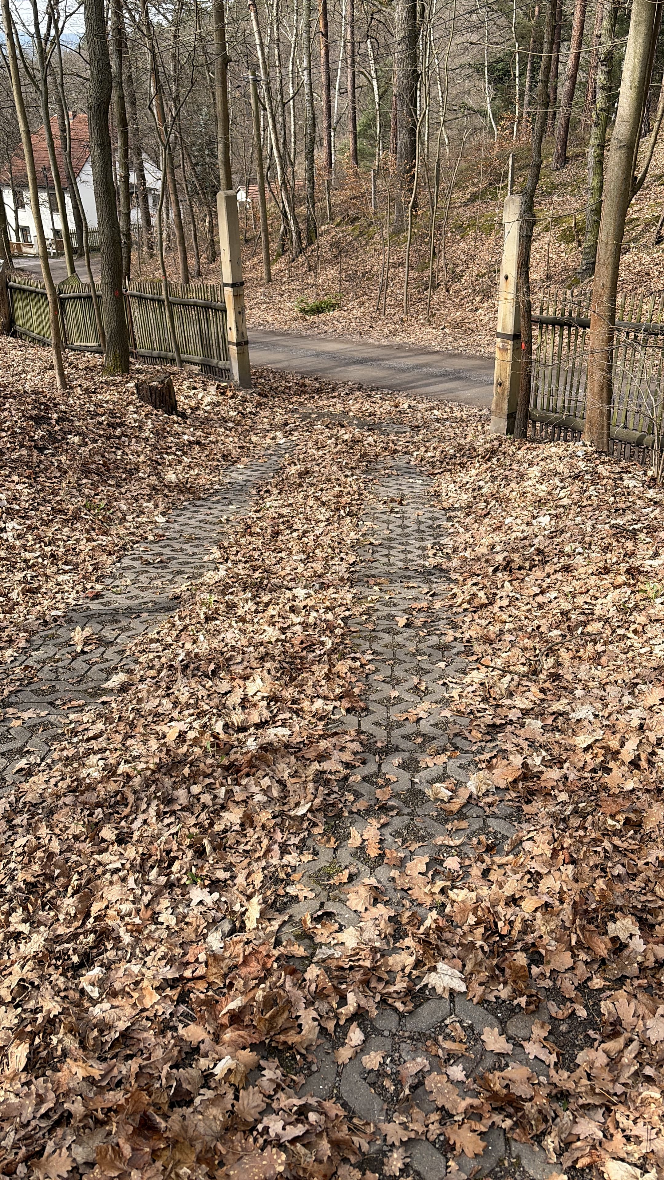 Granitpflaster Katzensteig