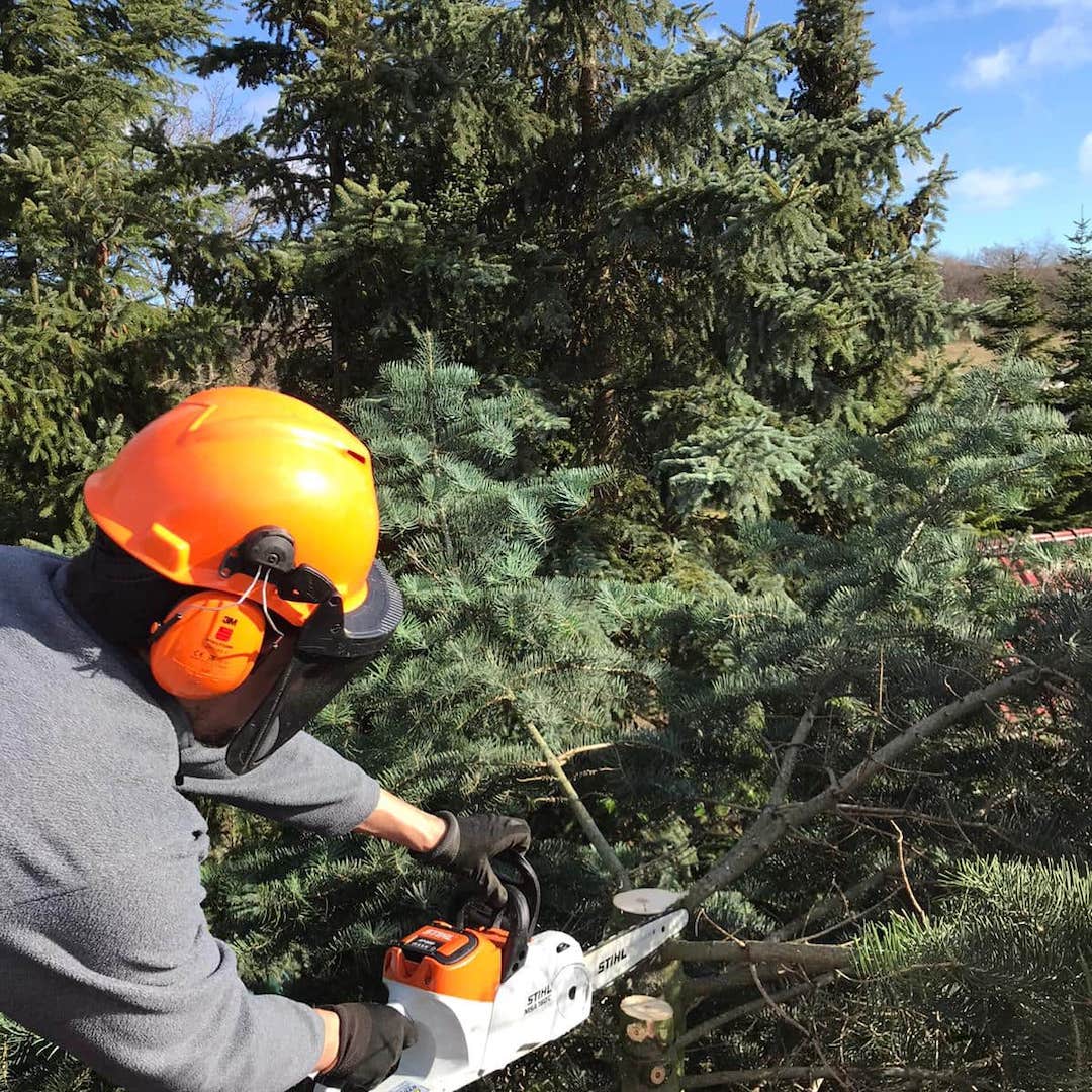 Garten- und Landschaftsbau in Thüringen